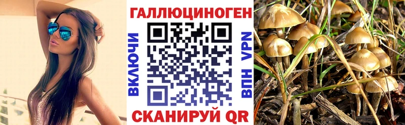 Псилоцибиновые грибы Psilocybe  мега как зайти  Морозовск  где можно купить  