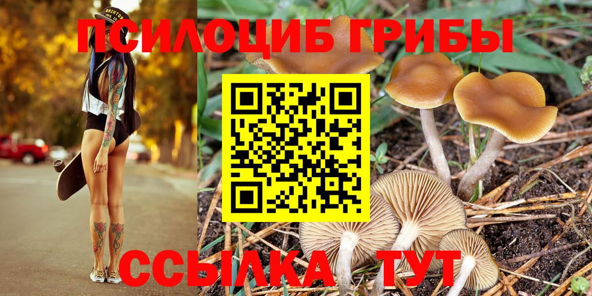 Галлюциногенные грибы GOLDEN TEACHER  Вход с VPN  Морозовск 