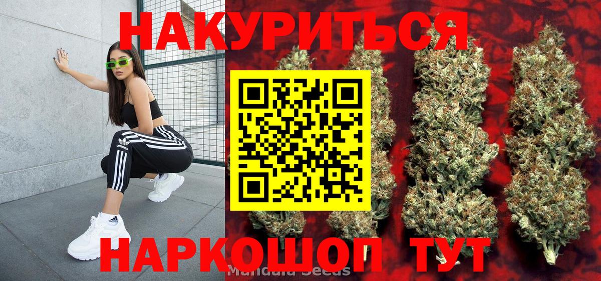 Бошки Шишки семена Морозовск